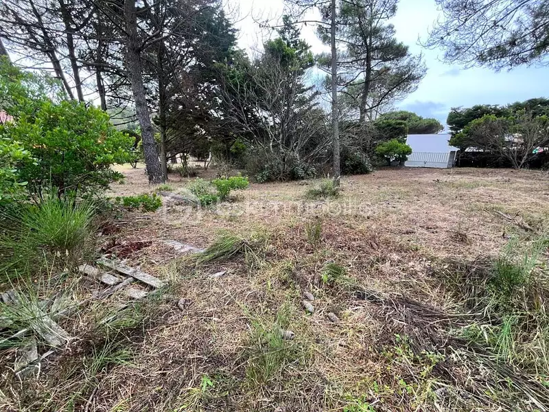 Terrain, 908 m²