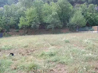 Terrain, 3 332 m²