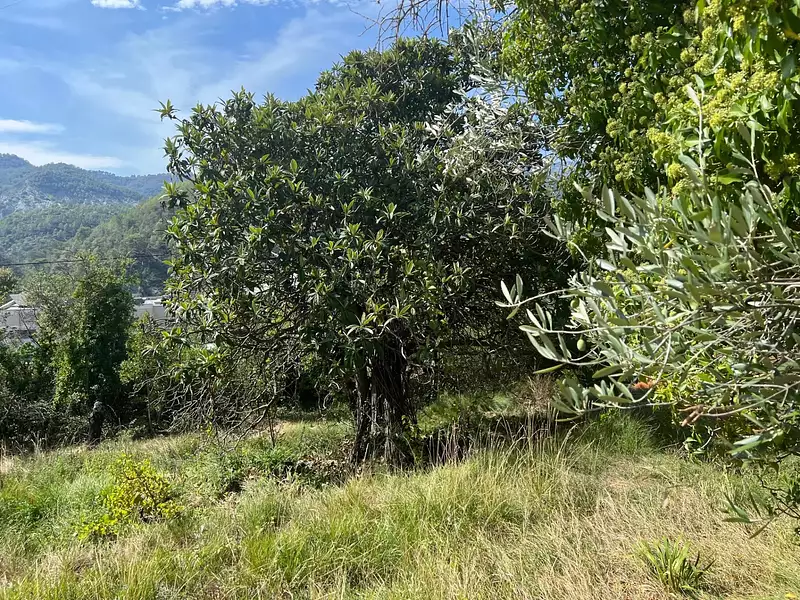 Terrain, 1 143 m²