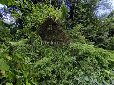 Maison, 60 m²