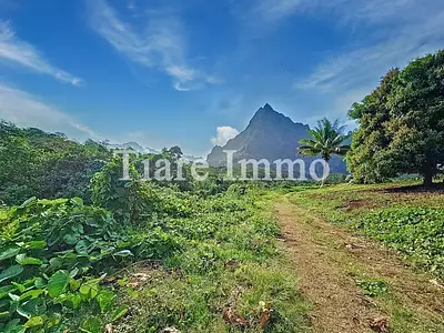 Terrain, 1 900 m²