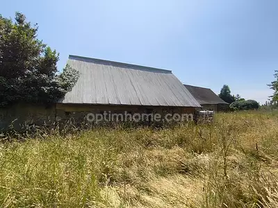 Maison, 50 m²