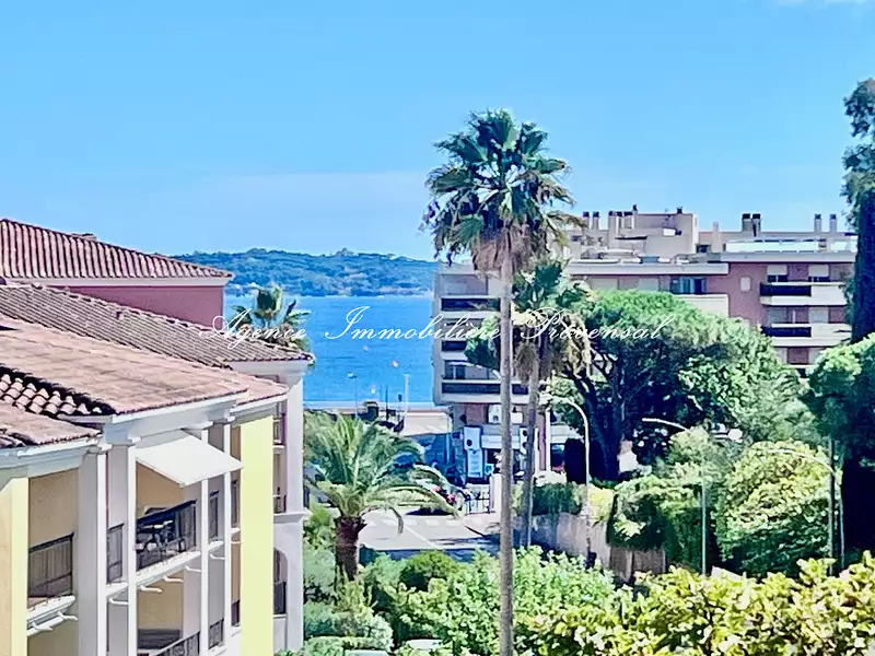 Appartement, 20,3 m²