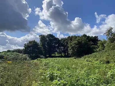 Terrain, 1 500 m²