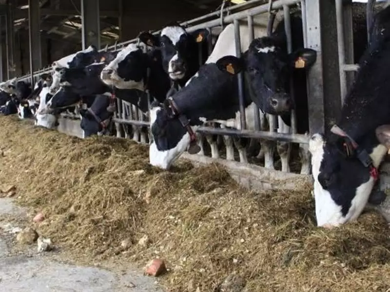 Divers, 2 000 000 m²