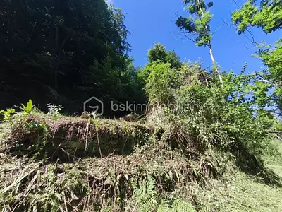 Maison, 60 m²