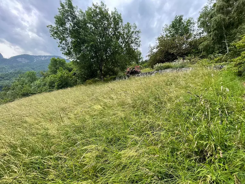 Terrain, 1 743 m²