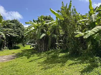 Terrain, 605 m²