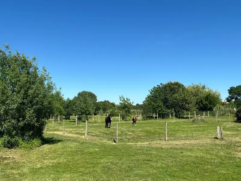 Maison, 200 m²