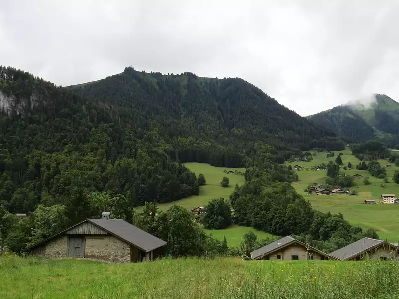 Terrain, 1 135 m²
