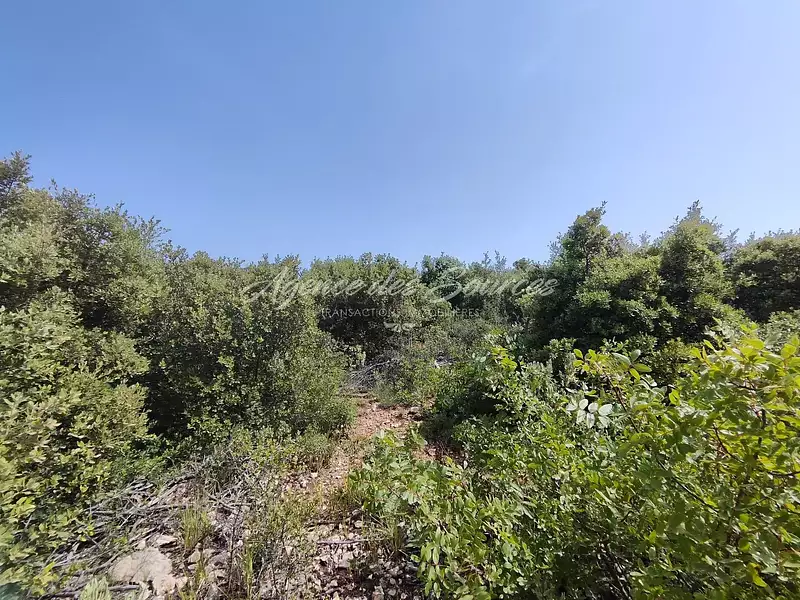 Terrain, 22 940 m²