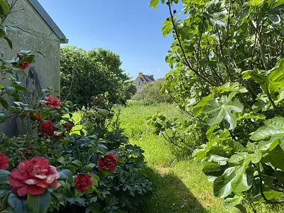 Maison, 220 m²