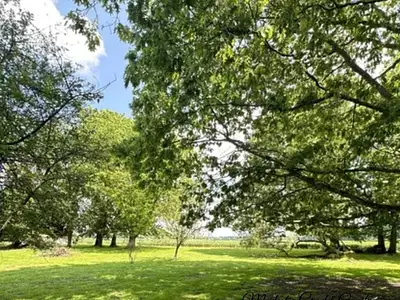 Maison, 185 m²