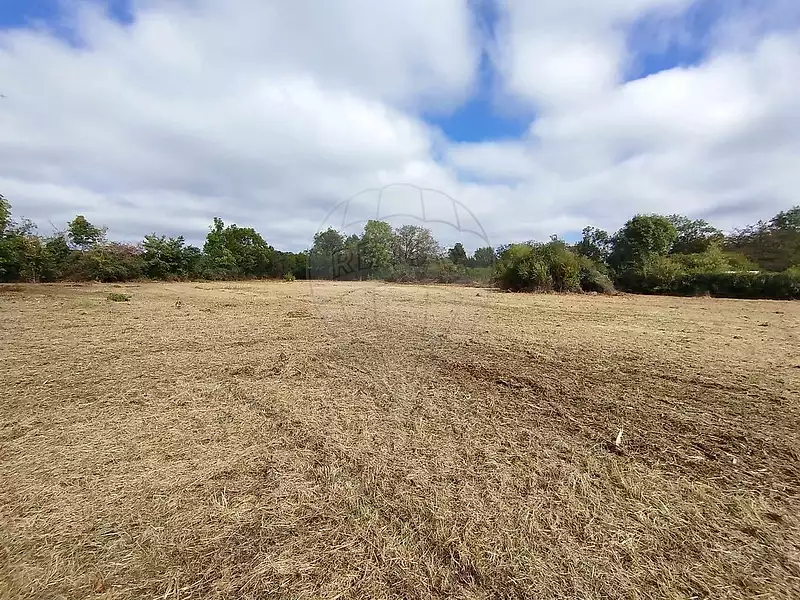 Terrain, 910 m²