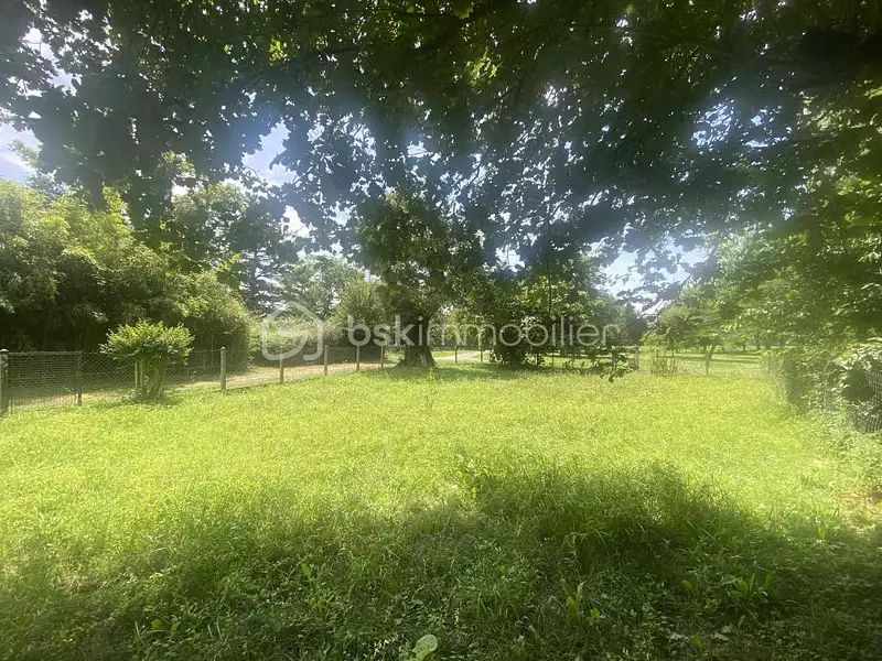 Terrain, 300 m²