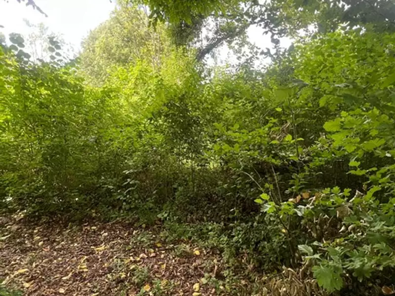 Terrain, 3 839 m²