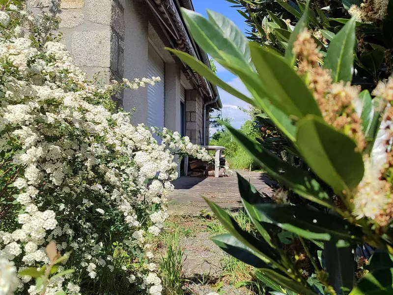 Maison, 230 m²