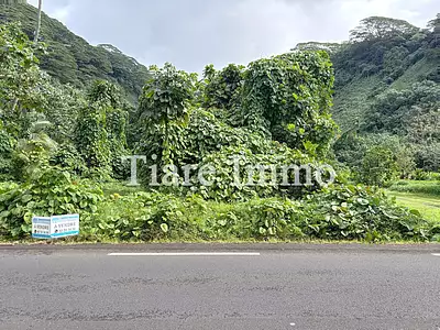 Terrain, 2 300 m²