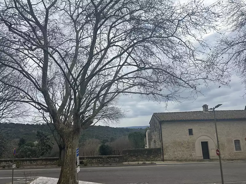 Appartement, 51,2 m²