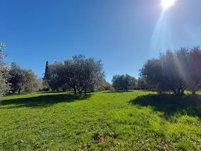 Maison, 230 m²