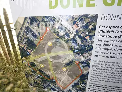 Terrain, 771 m²