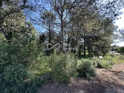 Appartement, 75,06 m²