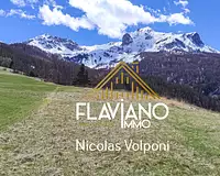 Terrain, 437 m²