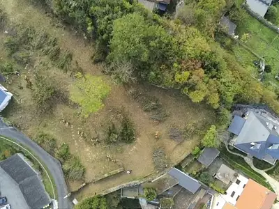 Terrain, 3 593 m²