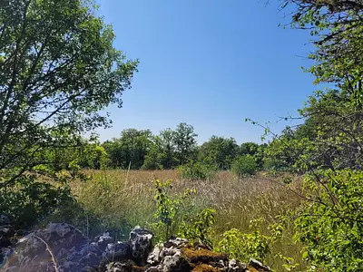 Terrain, 5 355 m²
