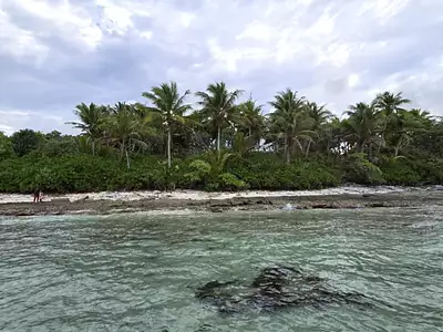 Terrain, 9 800 m²