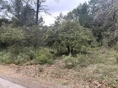 Terrain, 2 400 m²