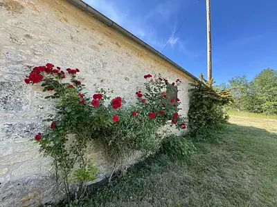 Maison, 134 m²