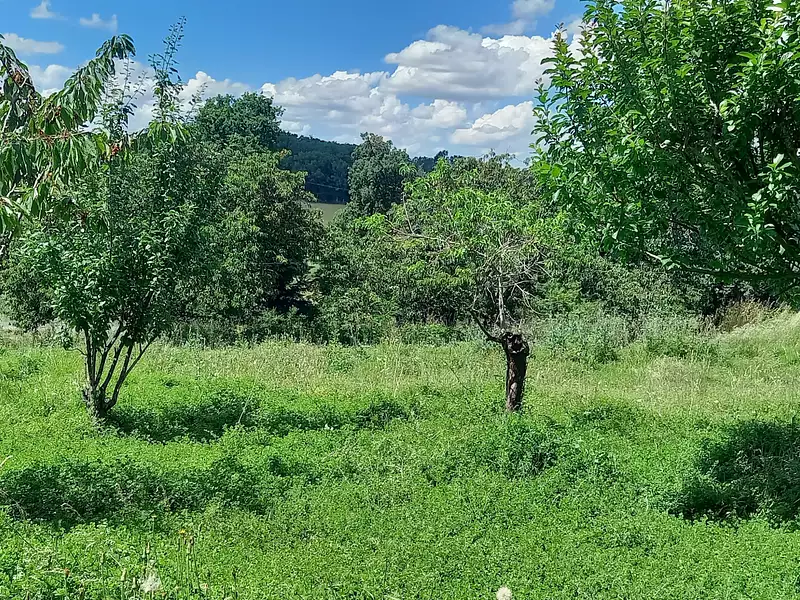 Terrain, 1 047 m²