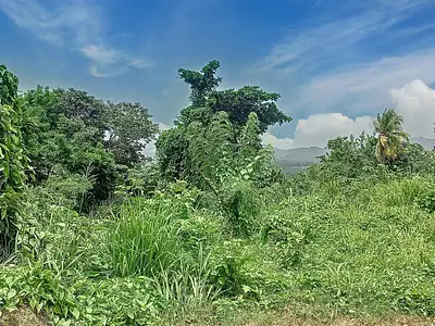 Terrain, 1 410 m²
