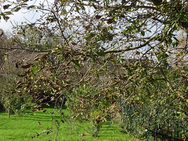 Maison, 86 m²