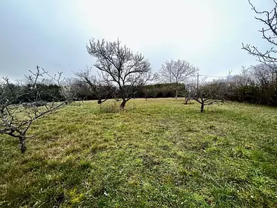 Terrain, 1 000 m²