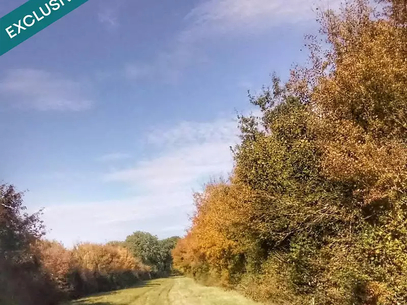 Terrain, 697 767 m²