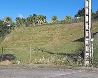 Terrain, 1 247 m²