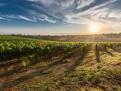 Terrain, 210 000 m²