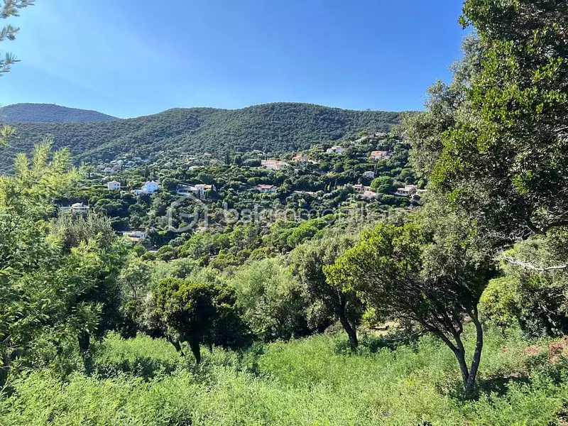 Terrain, 1 198 m²