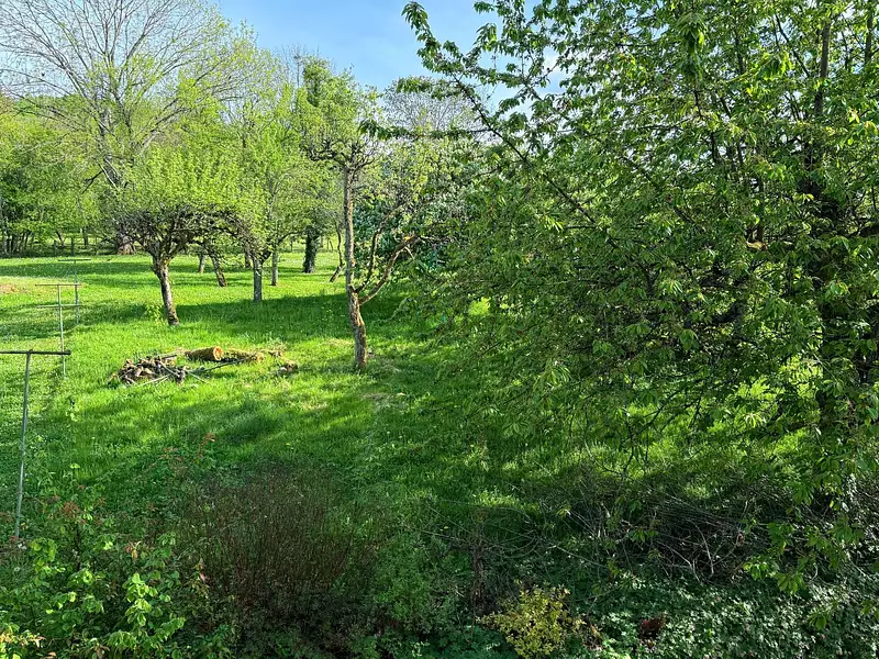 Maison, 136 m²
