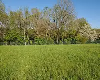 Terrain, 1 100 m²