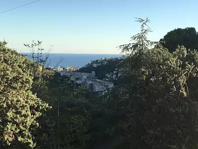 Appartement, 49,5 m²