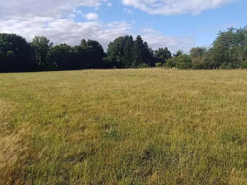 Terrain, 9 159 m²