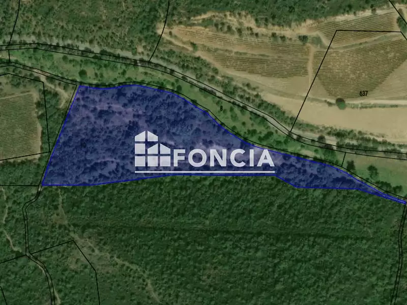 Terrain, 60 000 m²