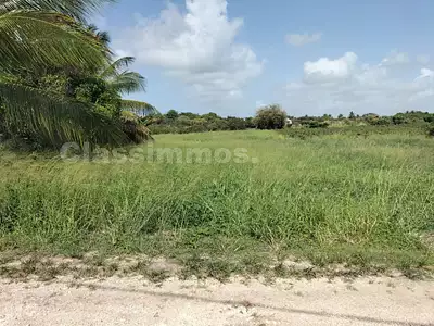 Terrain, 600 m²