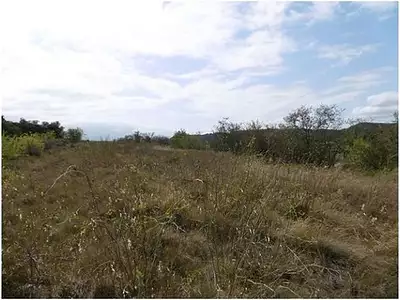 Terrain, 12 265 m²