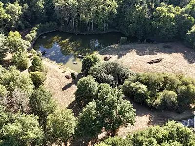 Terrain, 11 902 m²
