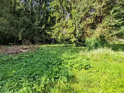 Terrain, 1 584 m²