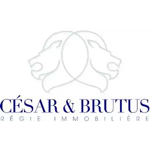 CESAR & BRUTUS TRANSACTIONS